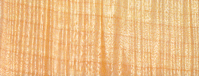 curlymaple Curley Maple