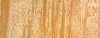 tiger Tiger Maple
